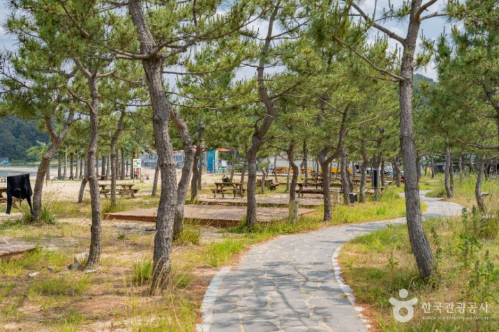 기사문해수욕장 여행 추천 - 메고지고