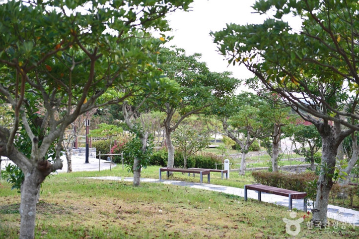 화원 오시아노 관광단지 여행 추천 - 메고지고