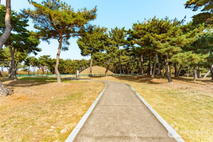 경주 효소왕릉 여행 추천 - 메고지고