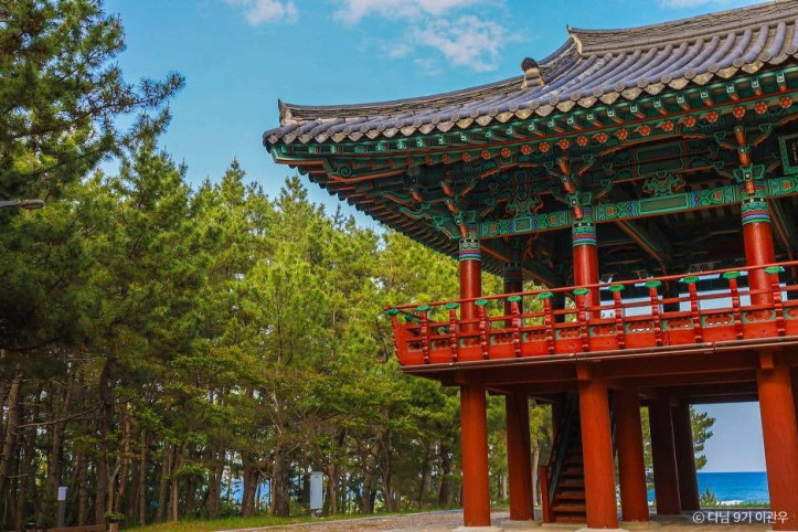 월송정 여행 추천 - 메고지고