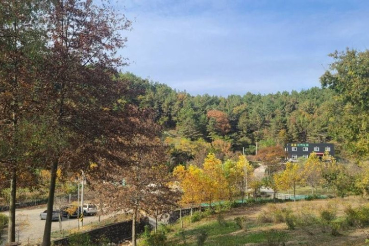 공룡자연농원 여행 추천 - 메고지고