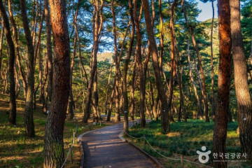 금오산성 여행 추천 - 메고지고