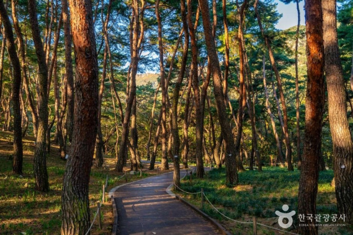 금오산도립공원 여행 추천 - 메고지고
