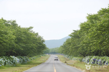 갑선이오름 여행 추천 - 메고지고