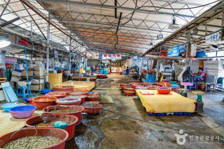 선창포구 여행 추천 - 메고지고