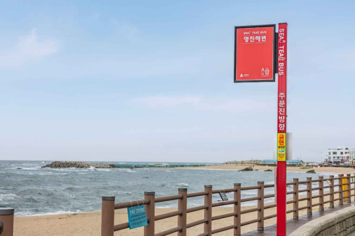 영진해변 여행 추천 - 메고지고