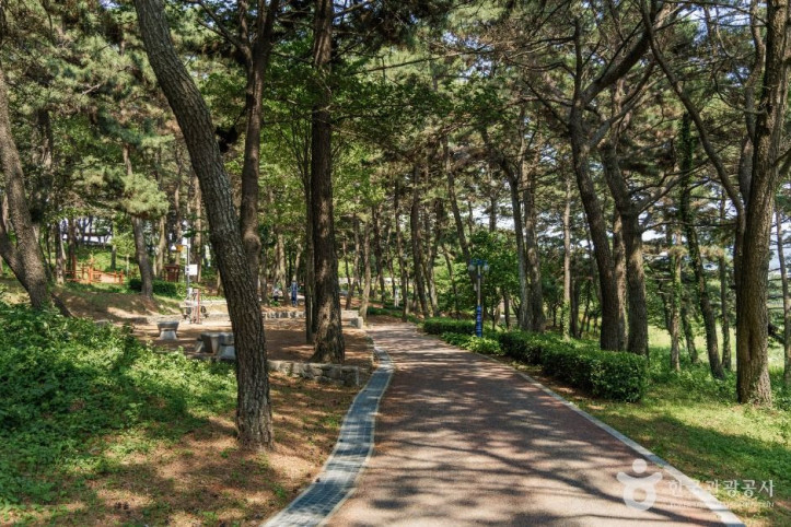 초전공원 여행 추천 - 메고지고