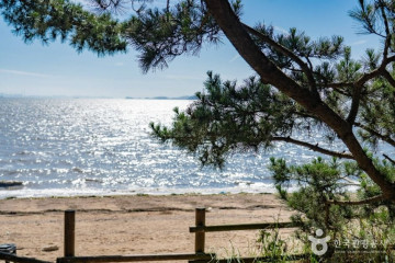 화성 정시영 고택 여행 추천 - 메고지고