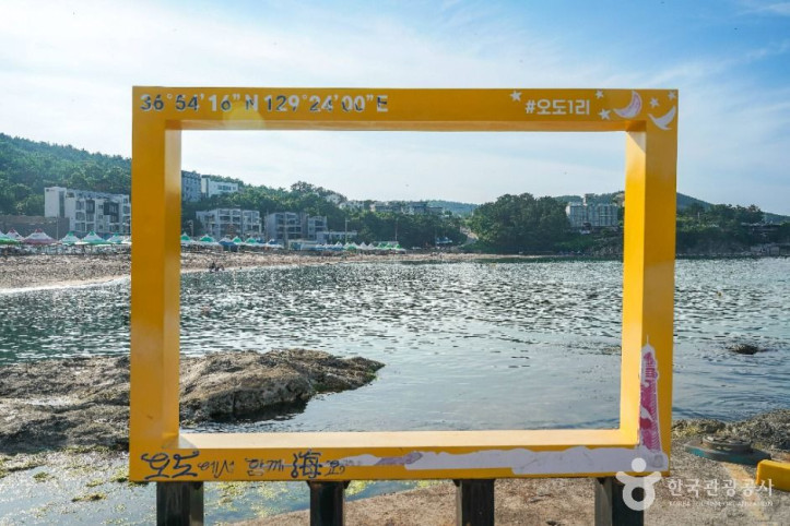 오도1리해수욕장 여행 추천 - 메고지고