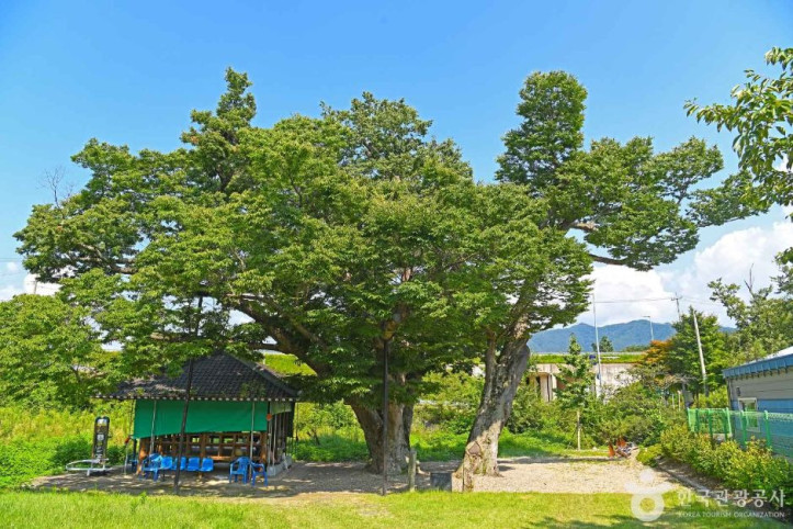 진안 배넘실마을 여행 추천 - 메고지고