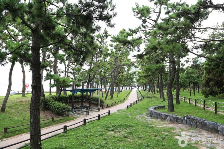 송림공원 여행 추천 - 메고지고