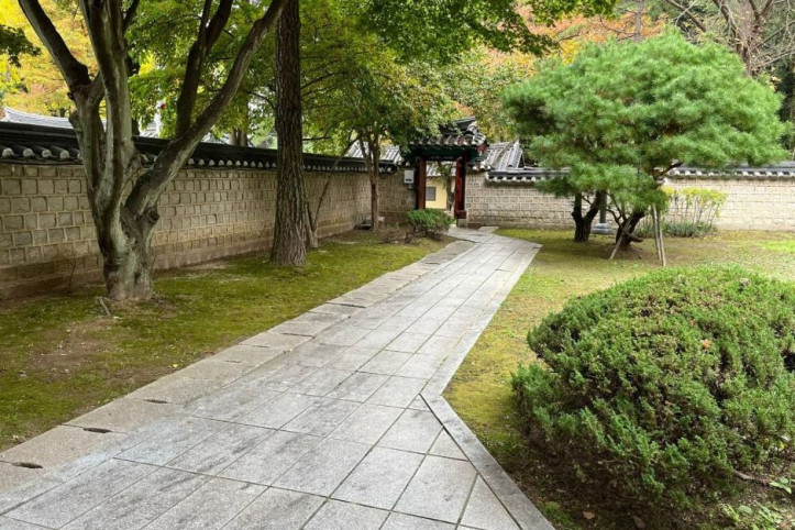 안국사 여행 추천 - 메고지고