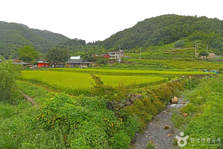 고천마을 여행 추천 - 메고지고