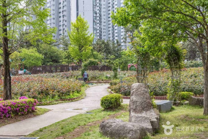 장미원 여행 추천 - 메고지고