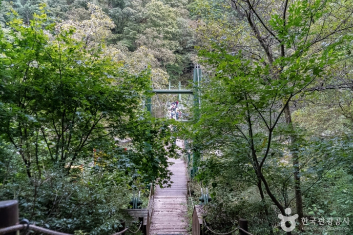공작산생태숲 여행 추천 - 메고지고