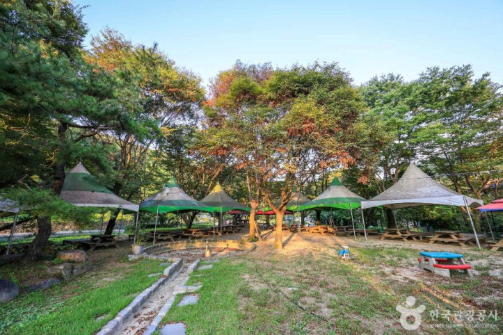 사슴마을 여행 추천 - 메고지고