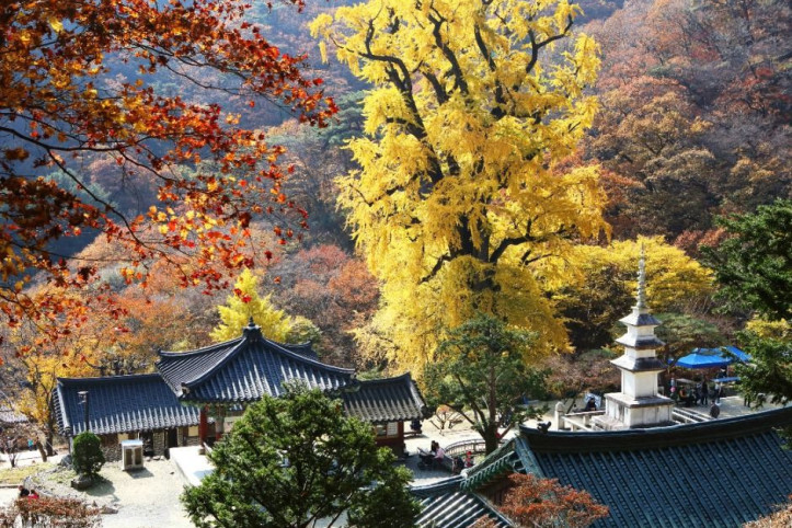 용문산관광단지 여행 추천 - 메고지고
