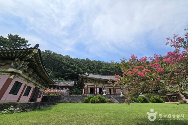 보림사(제주) 여행 추천 - 메고지고