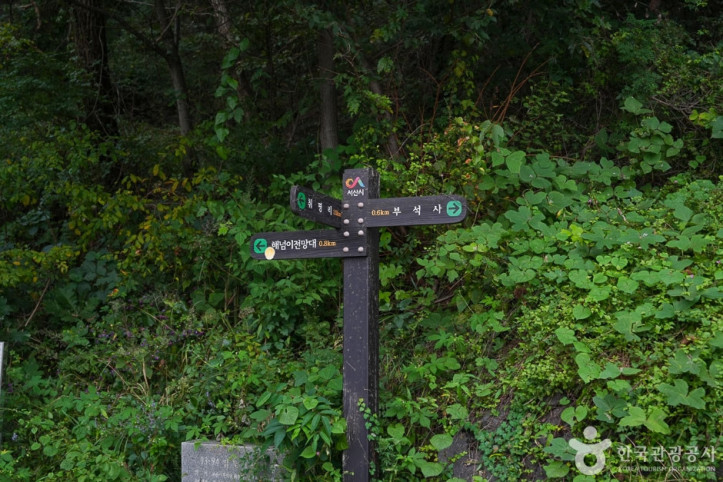 도비 마루길 여행 추천 - 메고지고