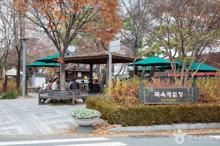 유성 족욕체험장 여행 추천 - 메고지고