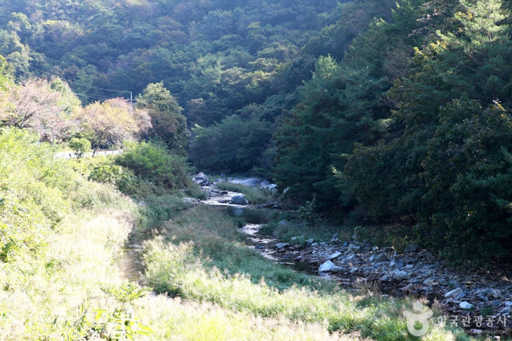 법흥계곡 여행 추천 - 메고지고