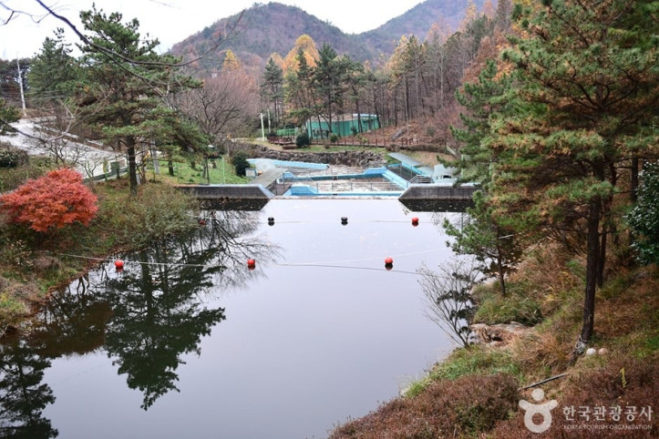 흑석산 자연휴양림 여행 추천 - 메고지고