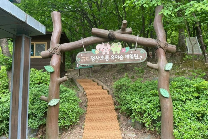 청사초롱 유아숲체험원 여행 추천 - 메고지고