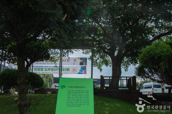 동광리농촌체험마을 여행 추천 - 메고지고