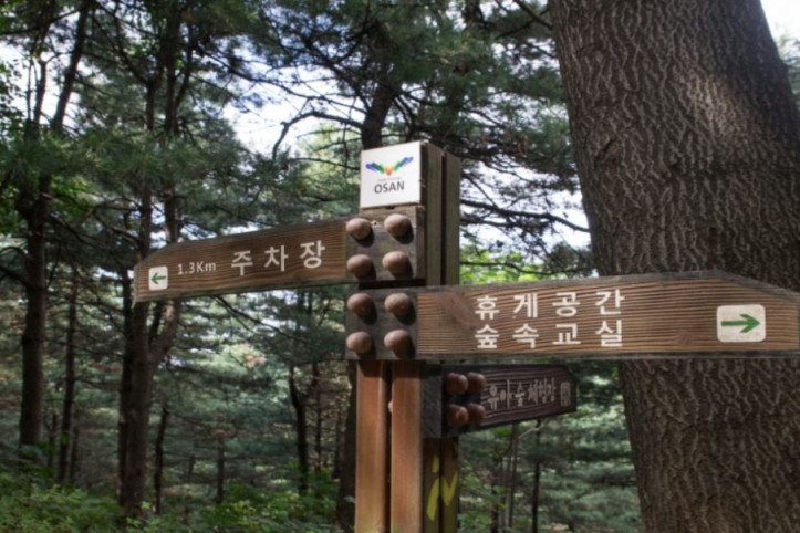 독산성산림욕장 여행 추천 - 메고지고