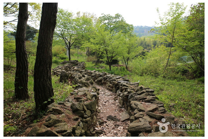 고운식물원 여행 추천 - 메고지고