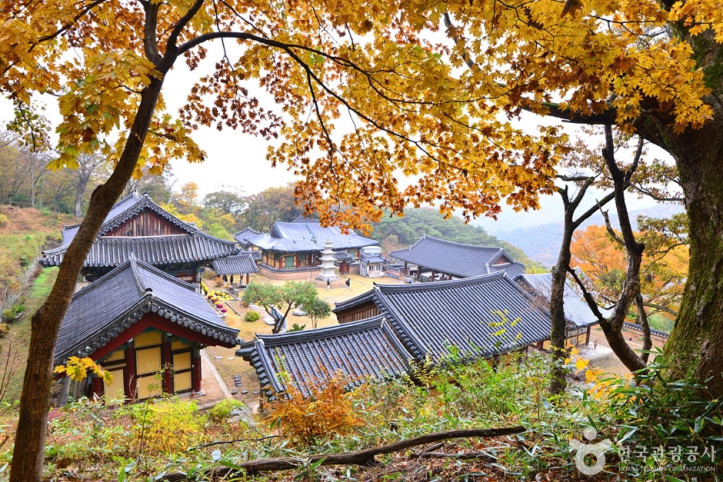 원효사(광주) 여행 추천 - 메고지고