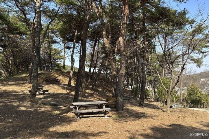 에덴힐스 힐링파크 여행 추천 - 메고지고