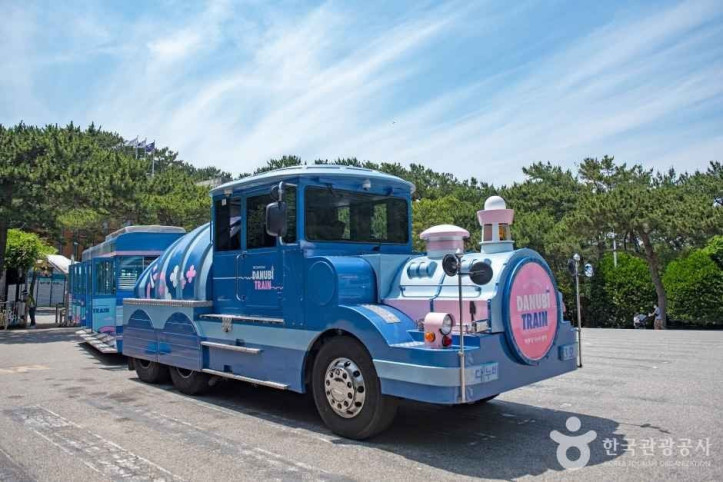 태종대 여행 추천 - 메고지고