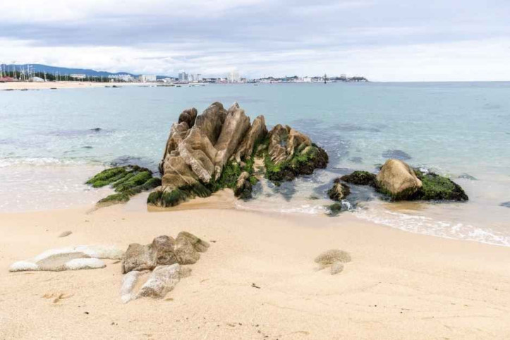 영진해변 여행 추천 - 메고지고