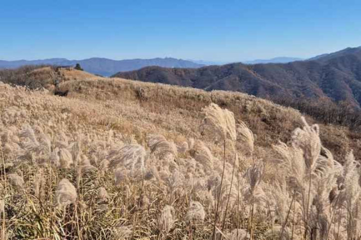 장안산군립공원 여행 추천 - 메고지고