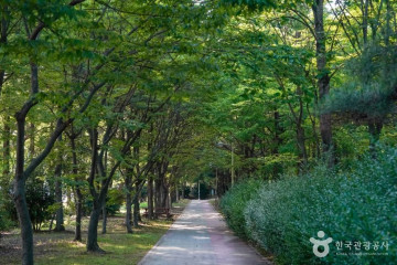 창원시 어린이교통공원 여행 추천 - 메고지고