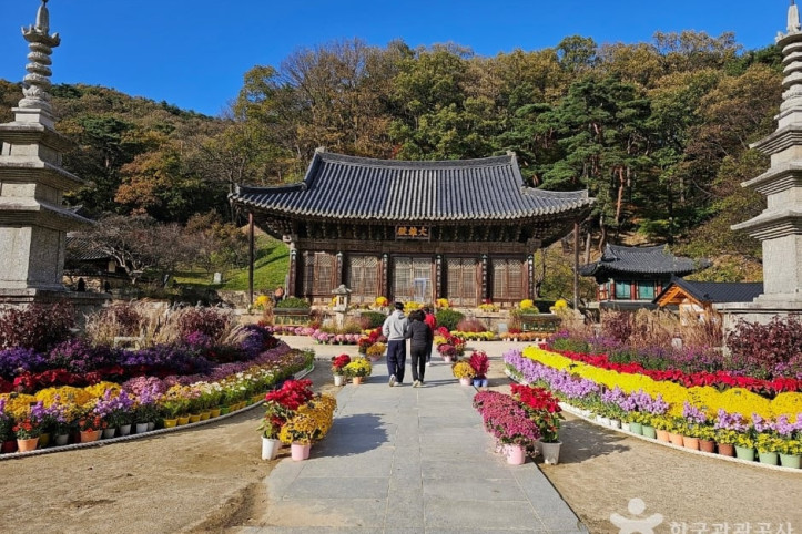 직지사 여행 추천 - 메고지고