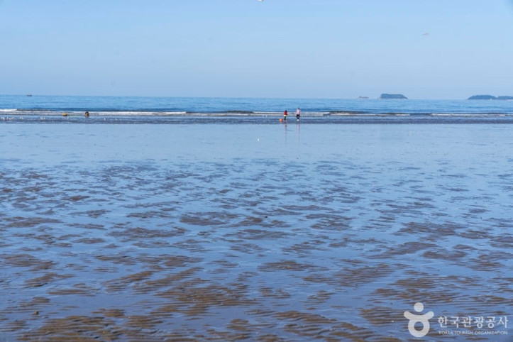 밧개해수욕장 여행 추천 - 메고지고