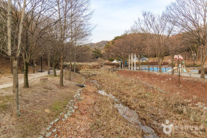 도음산산림문화수련장 여행 추천 - 메고지고