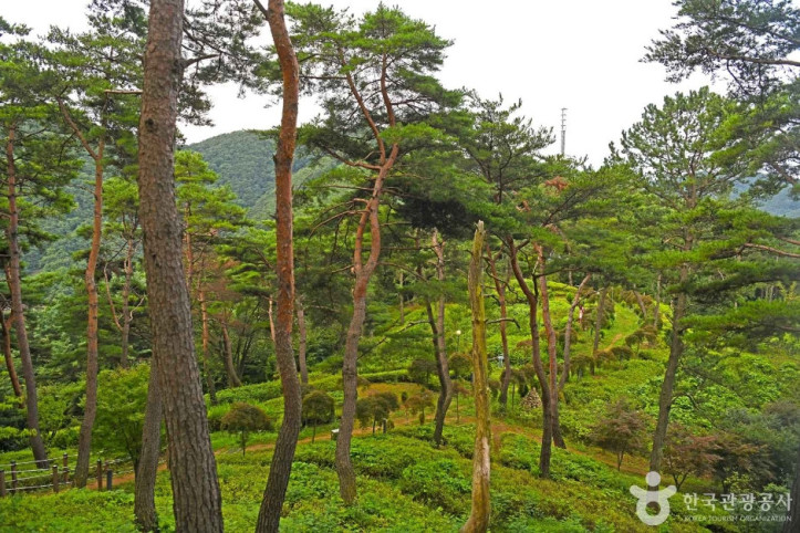 조산공원 여행 추천 - 메고지고