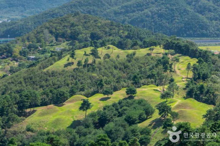 고령 지산동 고분군 여행 추천 - 메고지고