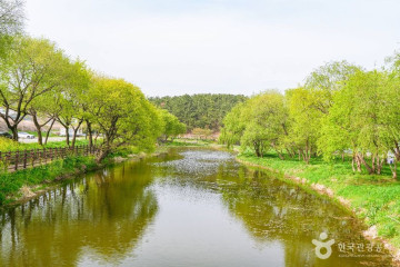 경주 김유신묘 여행 추천 - 메고지고