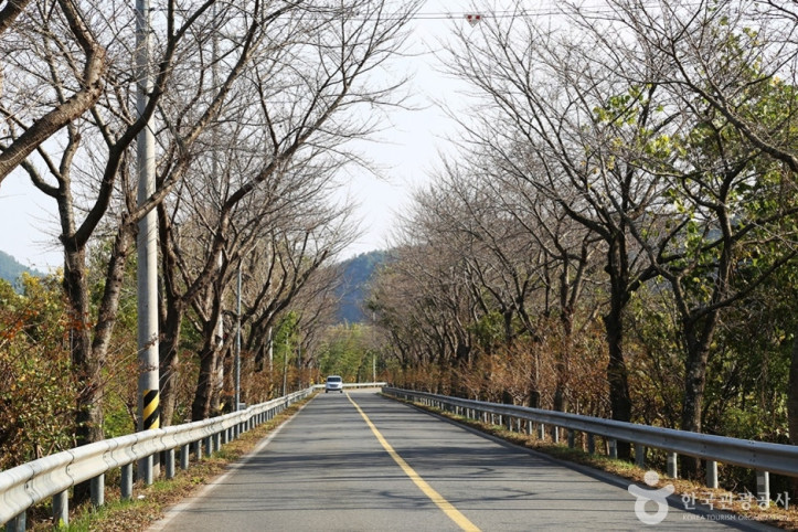 진양호 일주도로 여행 추천 - 메고지고