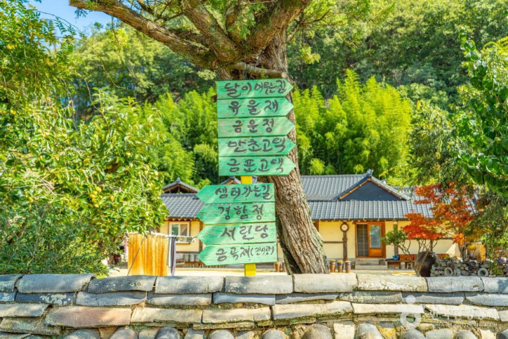 안동포마을 여행 추천 - 메고지고