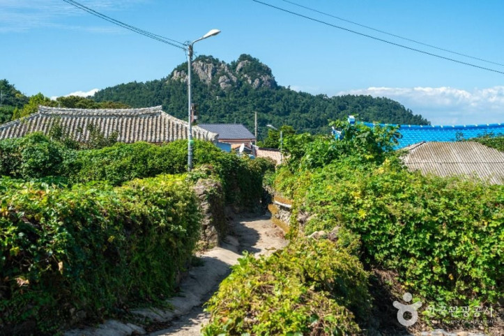 손죽도 여행 추천 - 메고지고