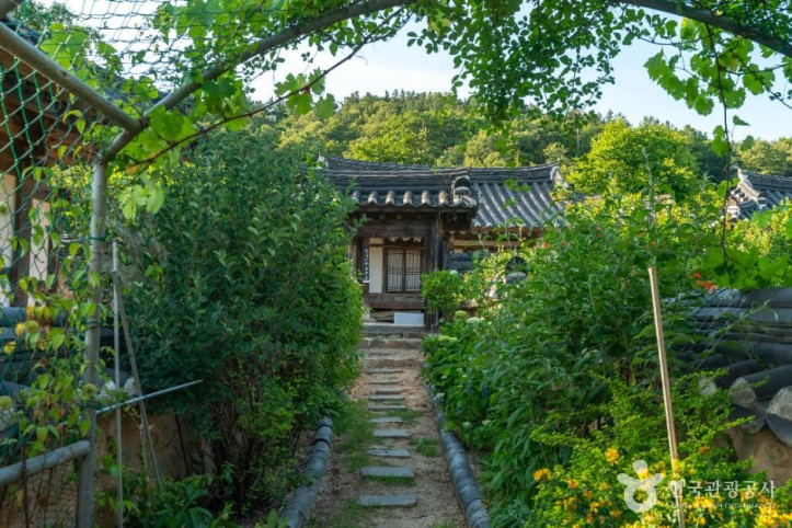 도곡재 여행 추천 - 메고지고