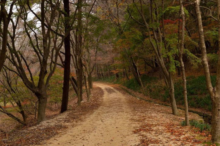 부소산 여행 추천 - 메고지고