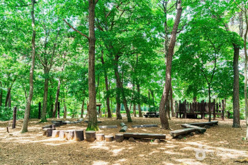 광주 수완호수공원 여행 추천 - 메고지고