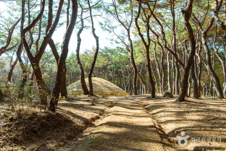 경주 정강왕릉 여행 추천 - 메고지고