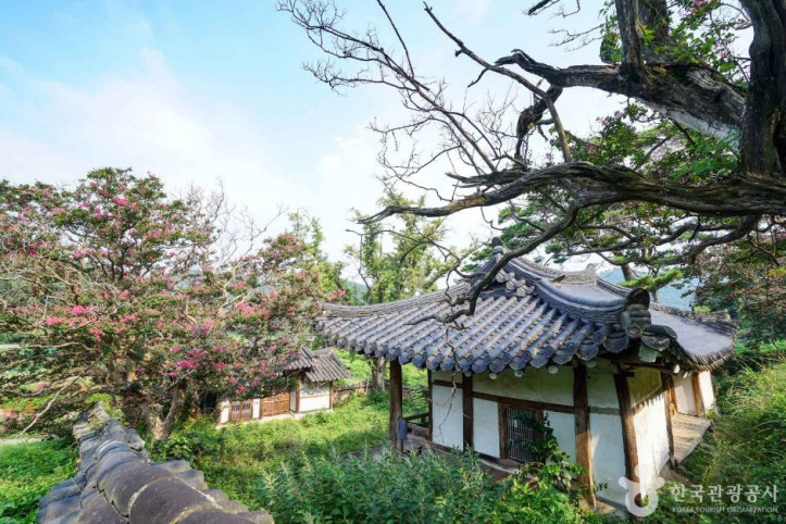 의양서원 여행 추천 - 메고지고